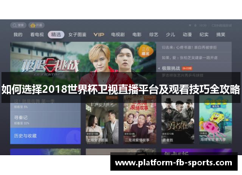 如何选择2018世界杯卫视直播平台及观看技巧全攻略