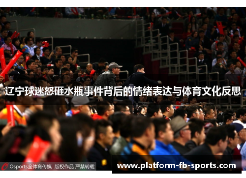 辽宁球迷怒砸水瓶事件背后的情绪表达与体育文化反思