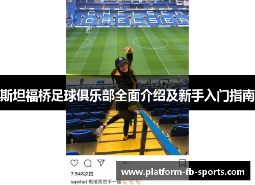 斯坦福桥足球俱乐部全面介绍及新手入门指南