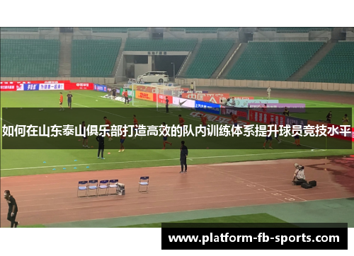 如何在山东泰山俱乐部打造高效的队内训练体系提升球员竞技水平