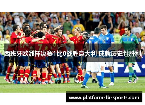 西班牙欧洲杯决赛1比0战胜意大利 成就历史性胜利